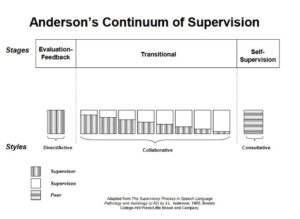 Rollen in het begeleidingsproces