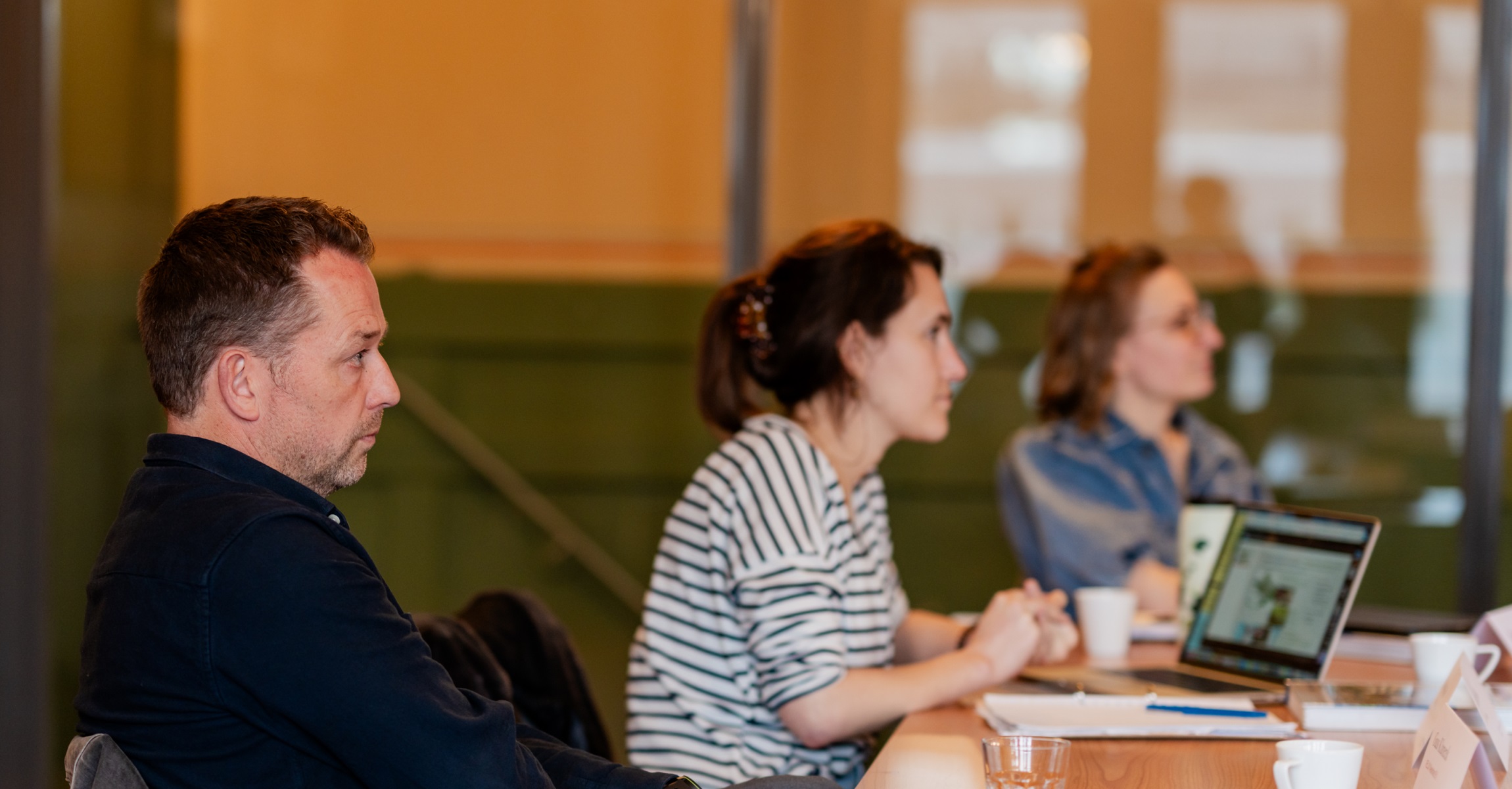 Professionele ontwikkeling voor UD, UHD en HL