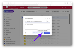 OneDrive Share Options